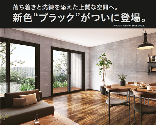 待望の新色登場